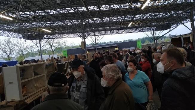 VIDEO: Chovatelská burza přilákala do Kroměříže tisíce lidí. Podívejte se