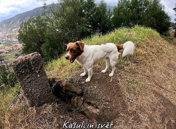 Cestou necestou na Madeiru – část 3. | Kašulčin Svět