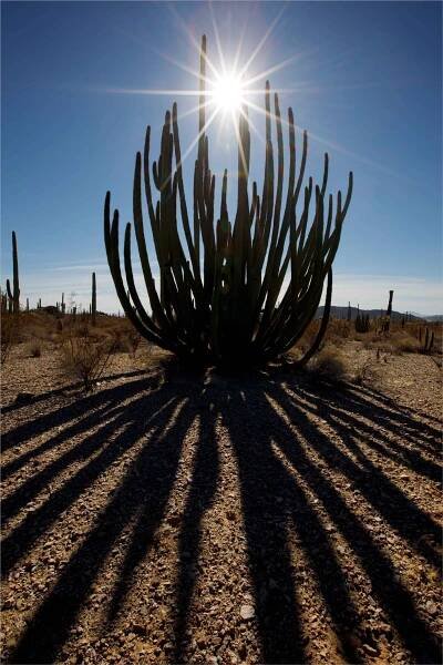 Southwest Landscape Photography: Arizona, Utah, California, New Mexico and Colorado