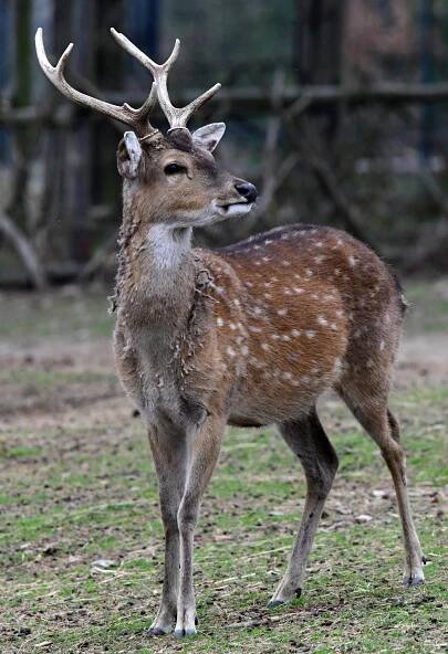 Index of /tiskove-zpravy-2022/TZ-24-2022-04-07-SIKA
