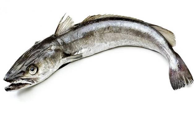 Hejk (mořská štika) kuchaný 400/600 g | Ocean Food