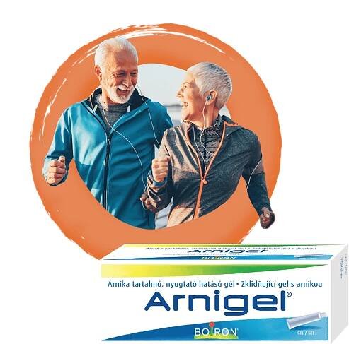 Seniori Arnigel