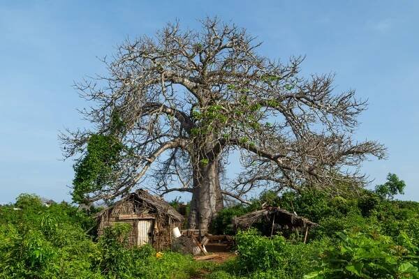 Kenya-108
