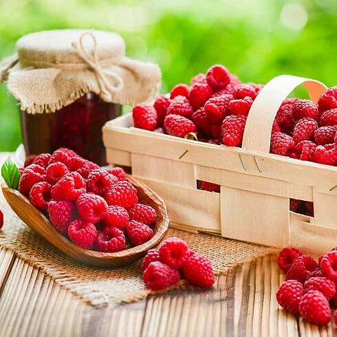 #3 - Heritage Everbearing Raspberry Bush