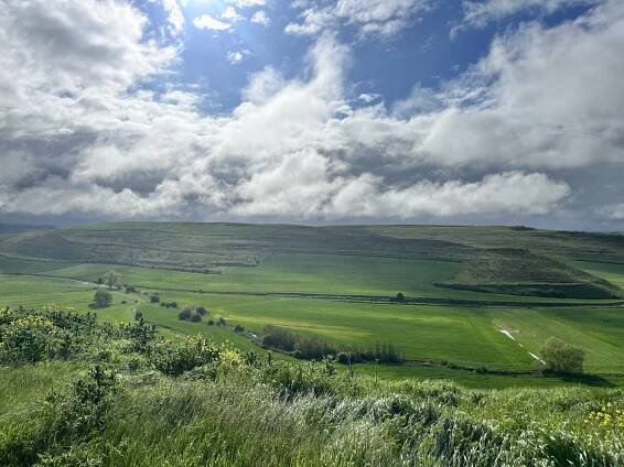 Camino de Santiago de Compostela