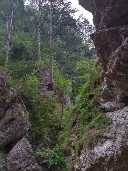 Fotogaléria • Tscheppaschlucht (Kaňon, roklina, tiesňava, údolie) • Mapy.com