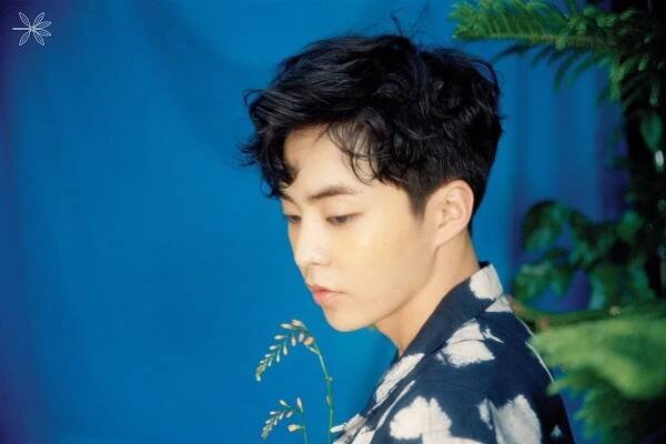 All About Xiumin from EXO: aka Kim Min-seok Bio, Military, Age - Kpop Wiki