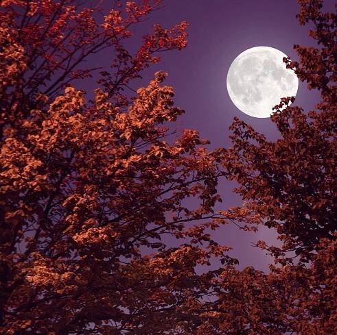 How To Make And Use Moon Water For Manifestation, Healing, And More