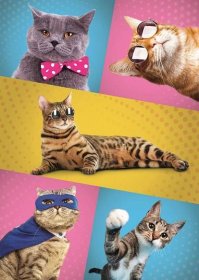 TREFL Puzzle Legrační kočky 500 dílků