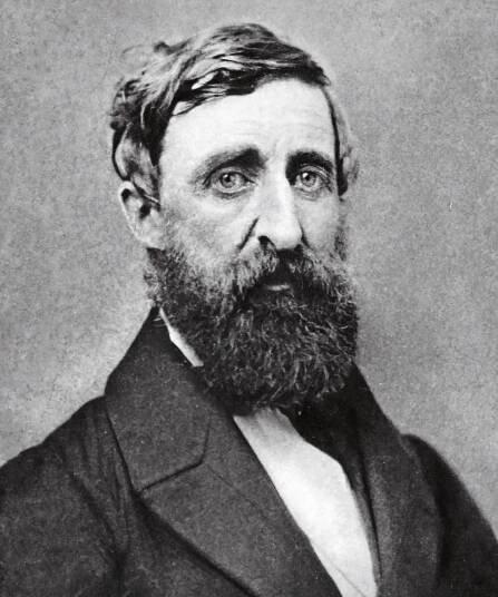 HENRY DAVID THOREAU 