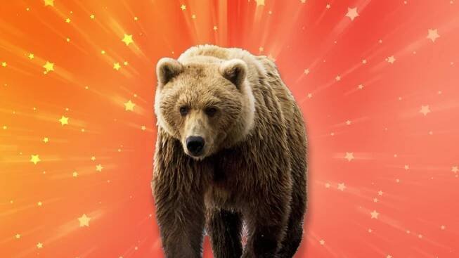 Big bear