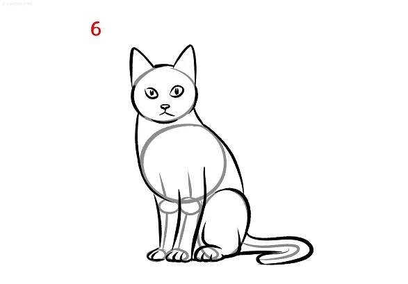 How to Draw a Cat - Step by Step