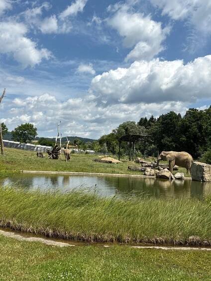 Výlet do ZOO Zlín - Obrázok 5