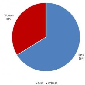 Gender representation (pie)