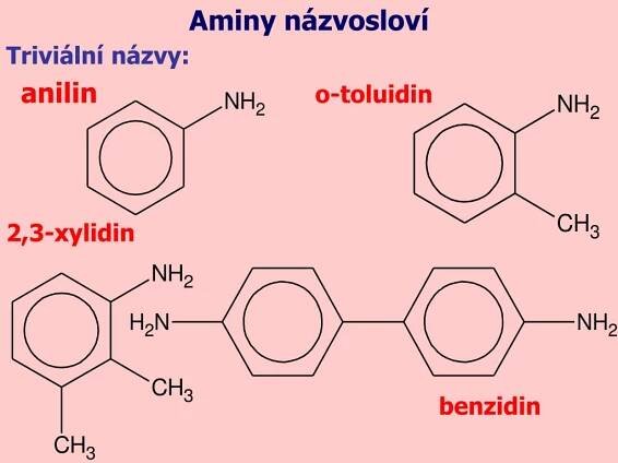 PPT - Aminy, klasifikace a názvosloví PowerPoint Presentation, free download - ID:5461511
