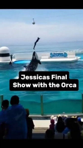 Jessicas Final Show with the Orca #shorts #jessica #orca