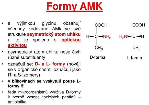 PPT - Aminokyseliny PowerPoint Presentation, free download - ID:3901021