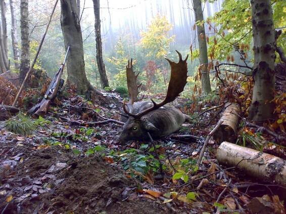 Jagdforest s.r.o.
