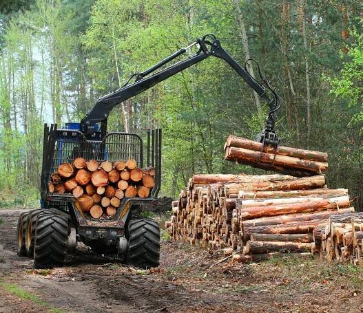 Těžební stroj pracující v lese. — Stock obrázek