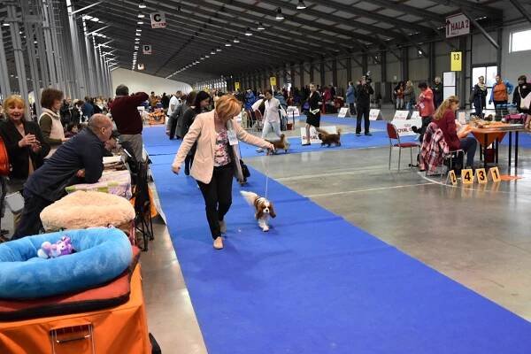 Prague Expo Dog- 16.4.2017