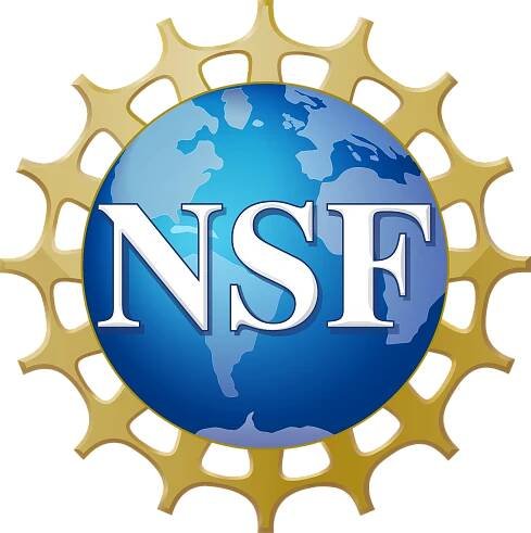 Soubor:NSF logo.svg – Wikipedie