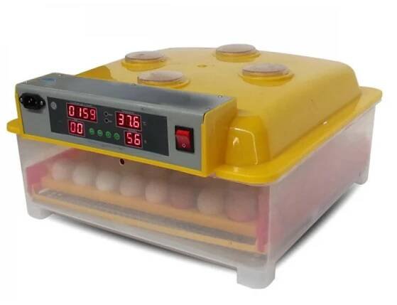 Agrofortel WQ-56 automatická digitální líheň
