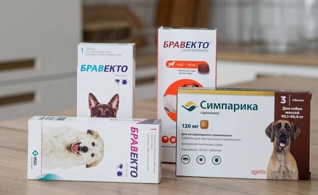 Jak fungují tablety proti blechám a klíšťatům?
