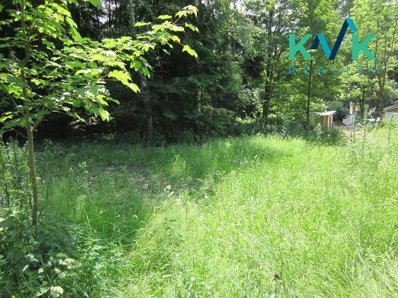 Prodej pozemku o velikosti 3 489 m2, v OV, Tisová u Nejdku | Reality.iDNES.cz 