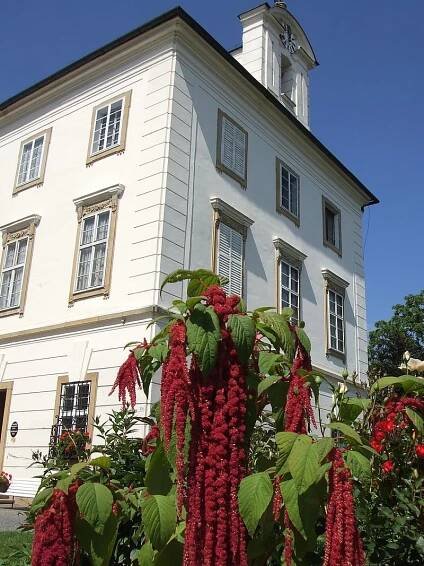 Zámek Vizovice - otevírací doba, akce, ubytování, prohlídky, vstupné, foto, počasí