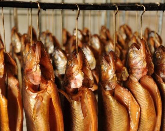 Frischer Fisch auf den Tisch - Welshof Schliemann - Ihre Fischerei in Faulenrost