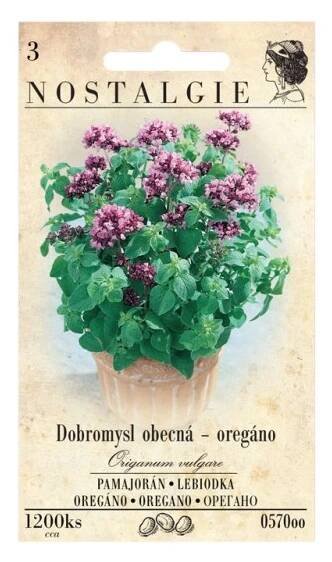 Nostalgie Dobromysl obecná - oregano nakoupit u OBI