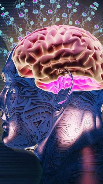 10 daily habits that supercharge memory and boost brain power