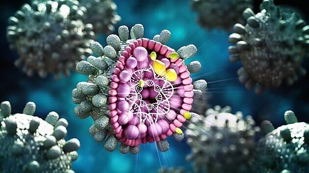 Virus hepatitidy B. Na tento druh žloutenky existuje očkování.