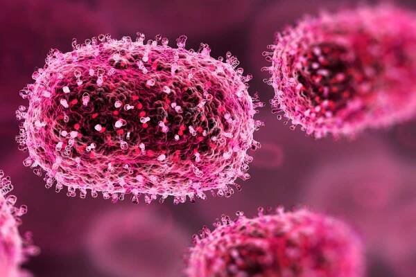 Weltweite Notlage wegen Mpox-Virus: Was sie jetzt wissen müssen