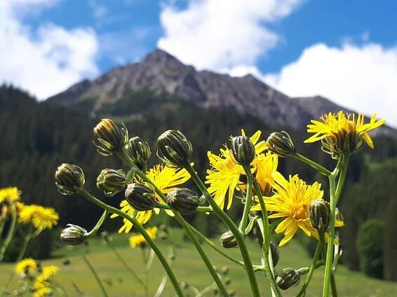 SOMMER 