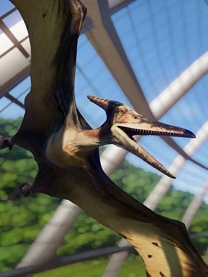 Pteranodon Scan Code » DNA scan codes for the Jurassic World Play App