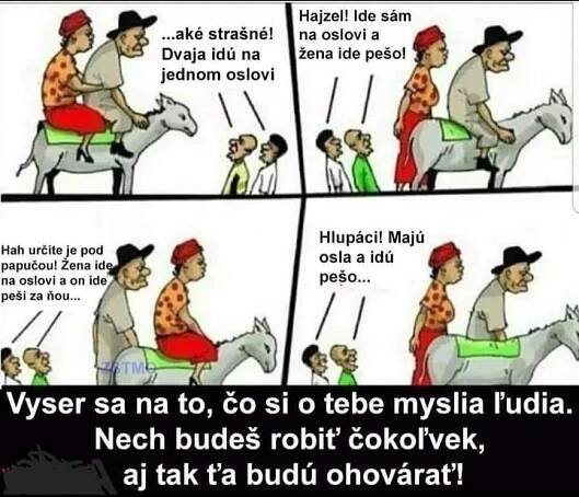 Profil používateľky veronikaurgeova - Modrý koník