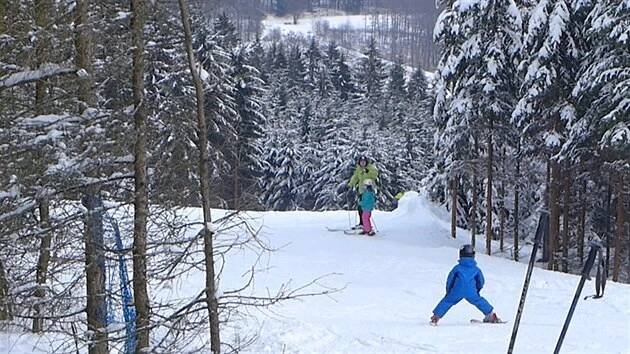 Kůrovec rozšířil sjezdovku na Harusově kopci, nejspíš ale jen dočasně