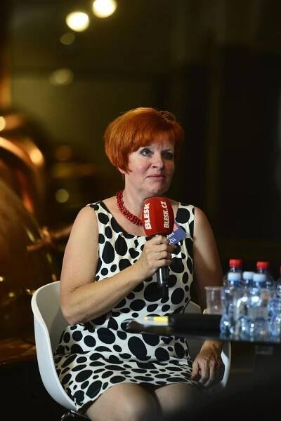 Bartošová (KDU-ČSL) v boji o Plzeň: Kvůli spalovně se Zelenými nesouhlasíme