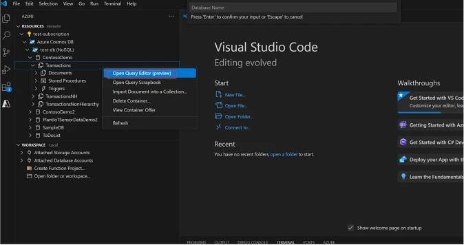 Snímek obrazovky s editorem dotazů ve VS Code