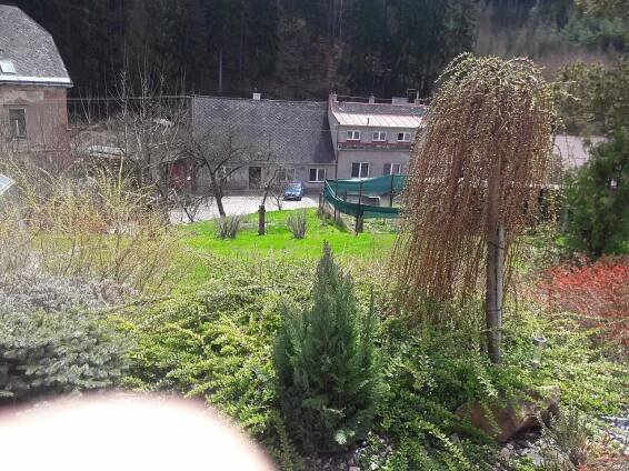 Krakonošova zahrádka - chalupa - 32 Batňovice - foto 32