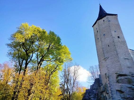 Jako Lothlórien z Pána prstenů. Podívejte se na magickou proměnu lesa u Roštejna