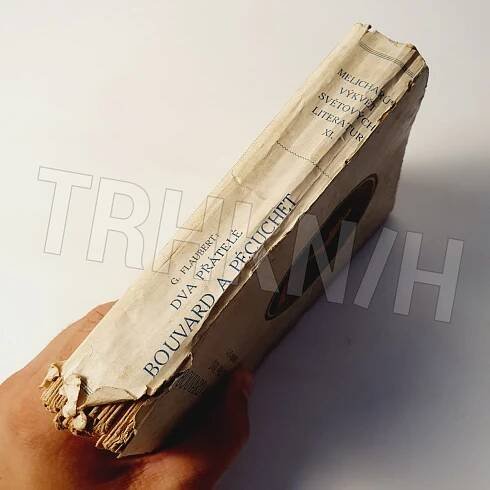 Kniha Bouvard a Pécuchet - román - Trh knih - online antikvariát