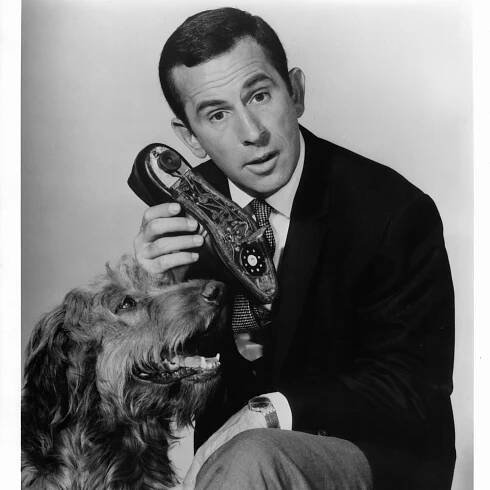 Don Adams, 1965