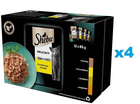 SHEBA Delicacy drůbeží kapsičky 48x85 g kompletní krmivo pro dospělé kočky v kouscích želé s: kachna, kuřecí maso, drůbež, krůta