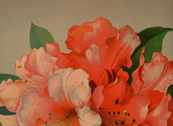 Work with Margaret — Margaret O’Brien