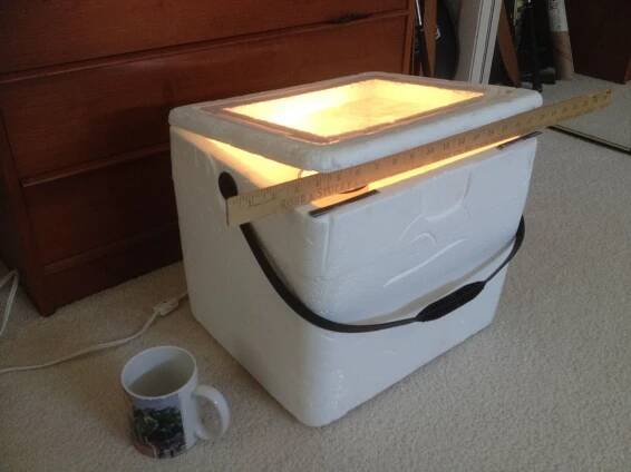 The homemade incubator | Backyard Ducks
