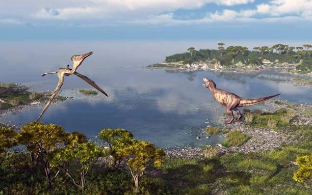 pterosaur pterodactylus a dinosaurus tyrannosaurus rex - ptakoještěři - stock snímky, obrázky a fotky