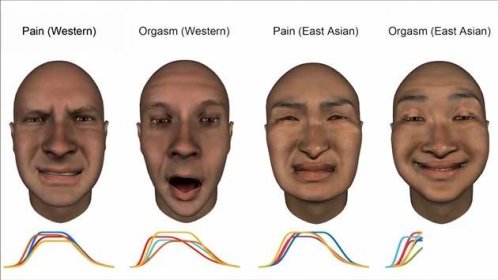 VIDEO: Různé tváře orgasmu. Jinak vypadá v Evropě a jinak v Asii