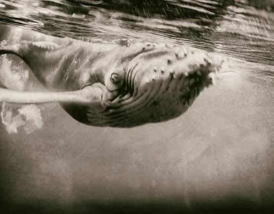 Javier Delgado Esteban Photography - About the Prints